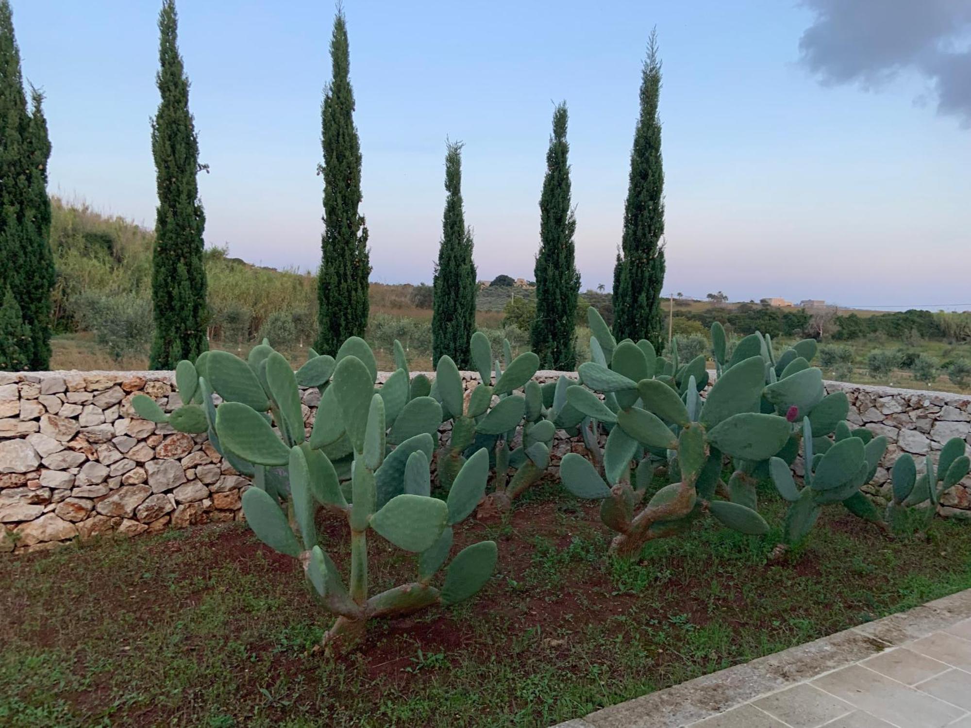 Relais Masseria Sant'Antonio Marina Di Pescoluse Luaran gambar